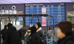 설 연휴 김포·김해공항 14일 가장 붐빌 듯… 제주는 18일이 절정