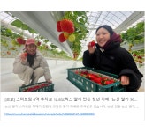 청년들아, 충남으로 와!···청년정책 전국 1위, 충남 신화