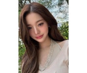 장원영 사이버 렉카 추가 고소… 아이브 허위영상물 유포자 징역형