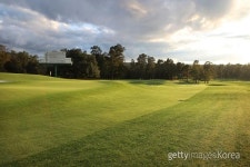 유리알 그린 사라진 11월의 마스터스