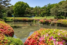 100만 달러 걸린 LET 대회의 격전지 뉴코리아