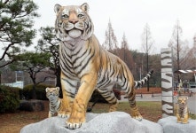 KIA, 백두산 호랑이 조형물 제막식...이범호 참석