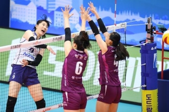 '박정아 존재감' 한국도로공사, KGC인삼공사에 3:0 완승