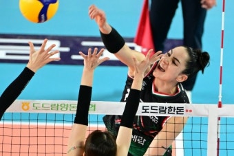 '기어코 이겼다' 정관장, 도로공사에 시즌 첫 승리...4위 점프
