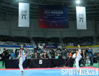[포토S] 성황리에 열린 2016 태권문화제