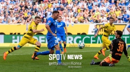 [SPO 리뷰] ‘3팀 승점 동점’ 호펜하임-도르트문트 UCL 진출…레버쿠젠 5위 좌절