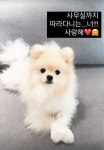 '장동건'고소영, 163억집 사모님의 CEO 포스…사무실서 회의중