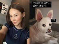 아이비도 반려견도 어이없는 동공 지진…셀프 미용이 부른 대참사