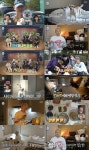 나혼산 크러쉬, 하루 4번 산책하고 개뮤니티 모임까지…개아빠의 하루