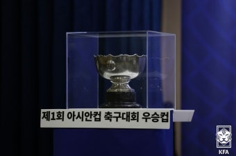 2023 아시안컵은 카타르 품으로, 한국 유치 실패