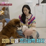 전진♥류이서, 새 가족 생겼다…안방 침대에 큰 실수까지 깜찍(동물농장)