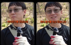 '열애' 빠니보틀 