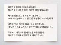 '애국가 논란' 엄지영, 결국 사과 