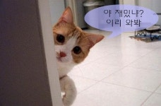 뒤통수 조심해라, 오락실 꼴불견 Top 5
