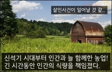 [카드뉴스] 경작 준비! 농장 경영 게임 모음