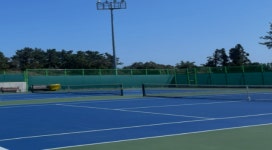 건강 레저 워케이션 모두 잡은 제주 벵가스테이…심신을 움직이는 이색 힐링 공간