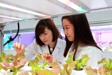 포스코건설 사옥에서 텃밭 가꿔요