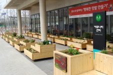 컴투스, 행복한 텃밭 만들기 봉사활동 진행