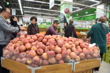 하나로마트 양재점, 봄철 농수산물 할인 판매