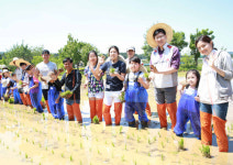 아시아나항공, 강원도 홍천서 12년째 1사1촌 활동