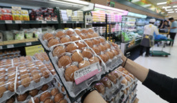 이마트·홈플러스·롯데마트, 계란값 일제 인하