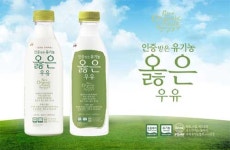 [신상품] 남양유업, 동물복지목장서 짜낸 옳은 우유