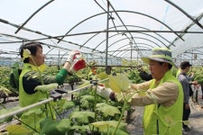 NH농협은행, NH핀테크 혁신센터 입주 기업과 농촌 일손돕기