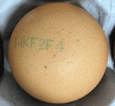 거창 호암농장 계란 회수·폐기…난각코드 WKF2F4