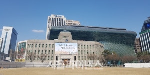 서울 5천㎡ 규모 유휴 중·소부지 개발 쉬워진다