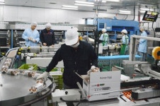 현대그린푸드, 홍콩 아지노친미에 알로팜 계란 수출