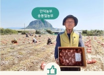 11번가, 코로나19 피해 제주농가 돕기 판촉전