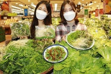 롯데마트, 18~24일 봄나물 세일