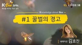 KB금융, 세계 환경의 날 맞아 꿀벌의 경고 영상 공개