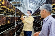 김춘진 aT 사장, 변산농장 찾아 버섯 수출 활성화 모색