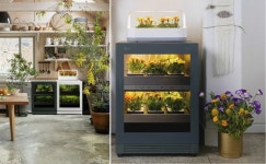 식물생활가전 LG 틔운, 다양한 씨앗 키트 개발한다