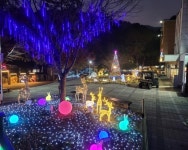 부산 어린이대공원, 별빛이 흐르는 블링블링 산타마을 조성