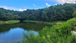 남원시, 노봉제 지적정리 토지주 무시 행정절차 무시 논란