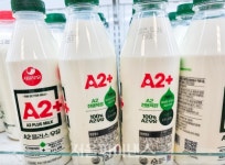 서울우유, A2우유 특허무효심판 주장 인정