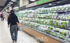 올해 상반기 마트·편의점 매출 뚝···온라인은 16%↑