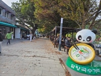 정원과 대나무의 고장 담양을 걷다