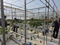 [휴:休] 익산 힐링여행… 밀새싹에 건강 찾고, 한옥 고택 길 걸으며