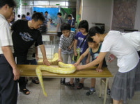 지하철에 열린 자연생태 상설학습체험관