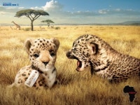 [광고,광고人] 대한항공, 광고 책임자의 힘을 보여주다