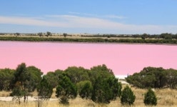 핑크 호수 진짜 물 색이 핑크색? 깜놀