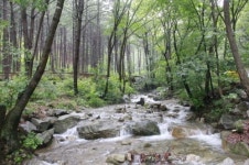 휴가때 숲에서 힐링하세요 산음휴양림, 이달의 휴양림 선정