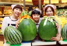 무게 20Kg 넘는 무등산수박 35만원