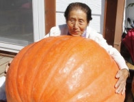 보은 77㎏짜리 호박 자라면서 점점 커져…슈퍼호박 선발대회 출품 예정