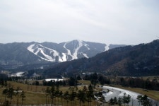 휘닉스파크, 7일부터 골프클럽 운영