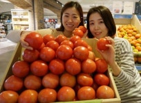 [포토] 현대그린푸드, 아산 친환경 토마토 선봬