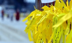 세월호 희생자 49재, 화성시 효원납골공원서 추도식